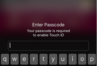 ƻ����ô���ٽ���ָ�ƽ��� iPhone���ٽ���ָ-��׿��Ѷ�� title=