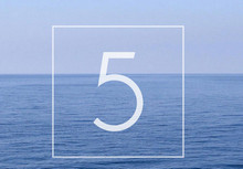 ��ϫapp�Ǹ���� ��ϫapp��ô��-��׿��Ѷ�� title=