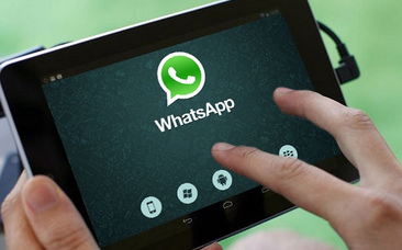 Whatsapp��ô�ӹ������-��׿��Ѷ�� title=