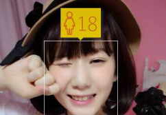 ���ղ������������ʲô ���ղ������app��-��׿��Ѷ�� title=