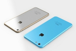 �ֻ��Ա���ô����è���� �ֻ��Ա���è���ֲ�-��׿��Ѷ�� title=