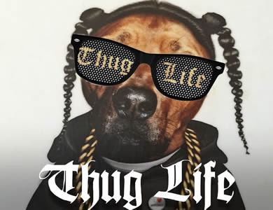 thug life������ô�� thug life������ôŪ-��׿��Ѷ�� title=
