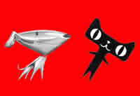 �������к���è�����ĸ��� �������к���è��-��׿��Ѷ�� title=