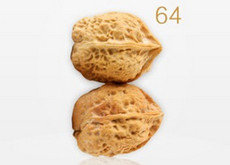 ��Ϊ64λ�������������� ��Ϊ˫�˴�����