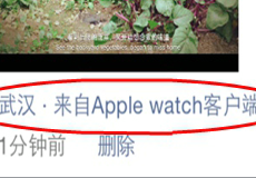 ����Ȧ��ʾ����Apple watch�ͻ��˽̳�-��׿��Ѷ�� title=