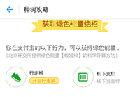 ����ɭ�ּ��������� ����ɭ��������������-��׿��Ѷ�� title=