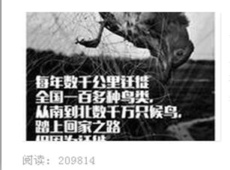 �����ڼ����ͷ��������ֻ����Ϯ����-��׿��Ѷ�� title=