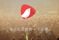 ͷ����ô�� ͷ��app�淨����-��׿��Ѷ�� title=