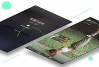 u�˶������ò��� u�˶�������ô��-��׿��Ѷ�� title=