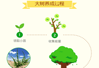 ����ɭ����ôˢ���� ����ɭ�������������-��׿��Ѷ�� title=