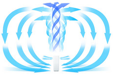 ���������������� ������������Ҳ��è��-��׿��Ѷ�� title=