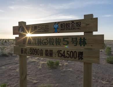 ����ɭ�����ǿ�����ô�� ����ɭ��ʵʱ������-��׿��Ѷ�� title=