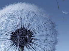 ����������ֽ��ô�� ������ô��������ֽ