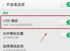 һ���ֻ�USB���������� һ���ֻ���ô��US