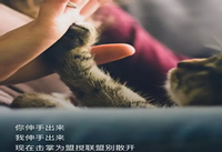 ��β���֪���Լ��ֻ���Ļ������� ��׿�ֻ�-��׿��Ѷ�� title=