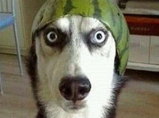 2014������ʮ������������