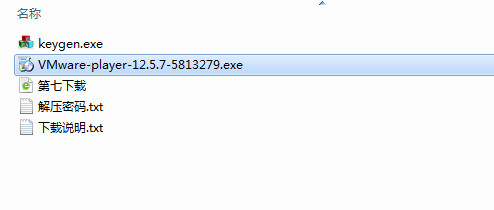 VMware Workstation Player 12��ϸͼ�İ�װ�̳�