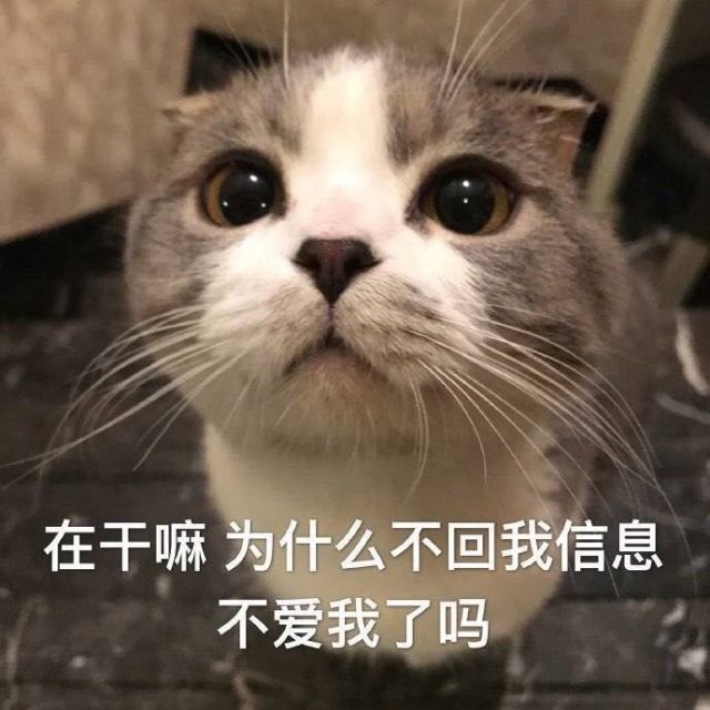 绰Ϣʲô  绰Ϣʲô˼?