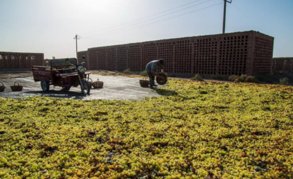 �����½������Ѹ���ʲô��?�����½������Ѹɺ�����ϸ����