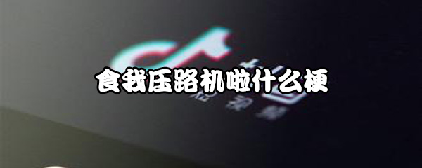 ����ʳ��ѹ·����ʲô�� ʳ��ѹ·������ʲô��˼