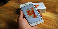 iPhone6s��ô���������� iPhone6s����������-ƻ����Ѷ�� title=
