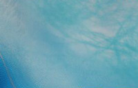 iPhone seû��������ô�� iPhone seû������-ƻ����Ѷ�� title=