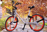 Ħ�ݺ�������� Ħ�ݵ����������ô��ȡ���-ƻ����Ѷ�� title=