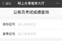 ֧������ô�鹫��Ա���Գɼ� ֧������ѯ����-ƻ����Ѷ�� title=