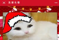 ʥ��ͷ��С��ñ��ôŪ ʥ��ͷ��С��ñ��ʲô-ƻ����Ѷ�� title=