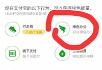 ����ɭ�ֶ�����ô�������� ����ɭ�ֶ�����ɫ-ƻ����Ѷ�� title=