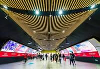 ��è�������ô��� ��è�������ô��ȡ-ƻ����Ѷ�� title=