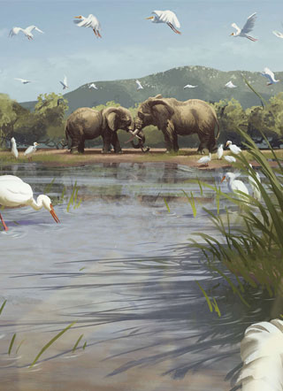 ���� С����Ϸ����2