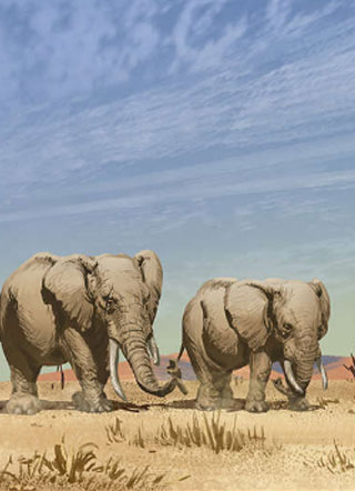 ���� С����Ϸ����3