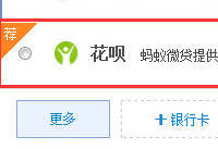 ������ʲô ֧����������ô��