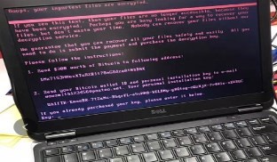 Petya����������ʲô Petya����������ô��ɱ-�����̡̳� title=