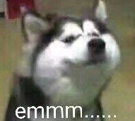 emmmm��ʲô��˼ ������emmmm��ʲô��˼ʲô-�����̡̳� title=