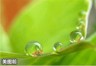 YUMMY��������ͼ֮Ψ�����ŷ�