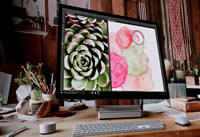 ΢��С������ʽ���Ź��⣨��������ڣ�-�����̡̳� title=