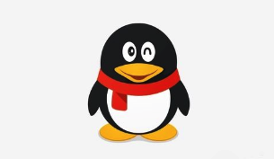 ֤���������̳�,֤����ģ������