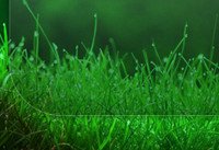 win10��ʽ��ë������Ч��ô���� win10��ʽ��-�����̡̳� title=