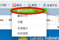 360�������ô����Ӣ����ҳ  360���������