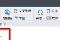 wps��ô����ˮӡ