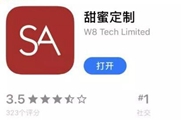 SA���۶����ύ���������Ҫ��ã�SA���۶�