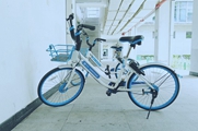���޻�Ӧ��ԽĦ��ofo  �û�Ϊ������Ҫ��Ѻ��