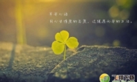 iOS12�簲�ݾ�Siri��װʹ�ý̳�