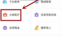 ��������˰app��ҽ�ƿ۳����걨����