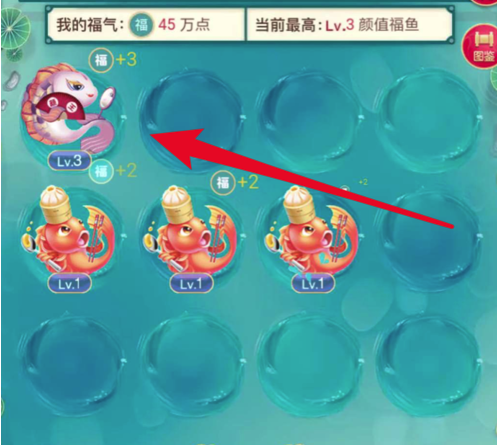֧������ô�������ÿ�