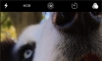 ƻ��iphone����΢����д�����̳�