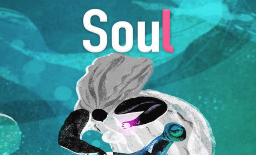 soul����ʲô��