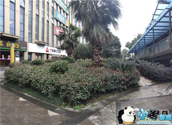 iQOO����Ч��ʵ������С����Ϸ